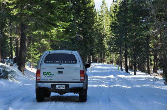 Fiona enfrenta estradas cobertas pela neve na região do Lake Tahoe, na Califórnia, nos Estados Unidos